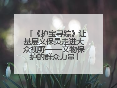 《护宝寻踪》让基层文保员走进大众视野——文物保护的群众力量