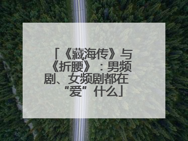 《藏海传》与《折腰》：男频剧、女频剧都在“爱”什么