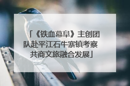 《铁血幕阜》主创团队赴平江石牛寨镇考察 共商文旅融合发展