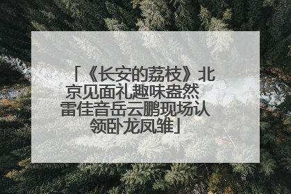 《长安的荔枝》北京见面礼趣味盎然 雷佳音岳云鹏现场认领卧龙凤雏