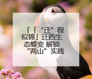 「“迁”程似锦」迁西生态蝶变 解锁“两山”实践的幸福密码
