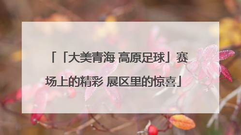 「大美青海 高原足球」赛场上的精彩 展区里的惊喜