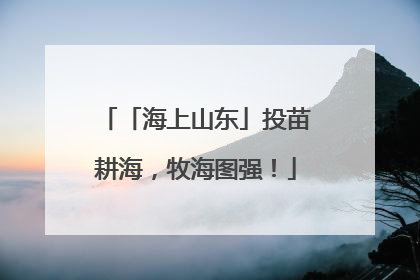 「海上山东」投苗耕海，牧海图强！