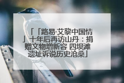 「路易·艾黎中国情」十年后再访山丹：捐赠文物增新容 四坝滩遗址诉说历史沧桑