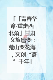 「青春华章·重走西北角」甘肃文旅嬗变：荒山变花海，文创“语”千年