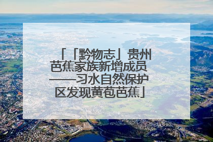 「黔物志」贵州芭蕉家族新增成员——习水自然保护区发现黄苞芭蕉