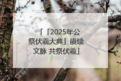「2025年公祭伏羲大典」赓续文脉 共祭伏羲