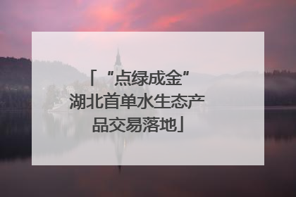 “点绿成金” 湖北首单水生态产品交易落地