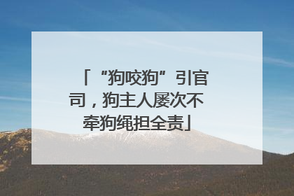 “狗咬狗”引官司，狗主人屡次不牵狗绳担全责
