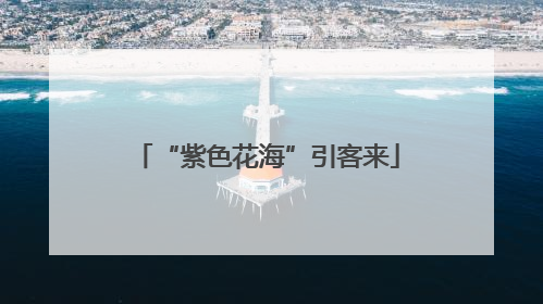 “紫色花海”引客来