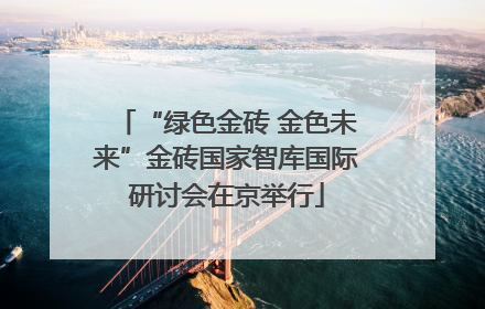 “绿色金砖 金色未来”金砖国家智库国际研讨会在京举行