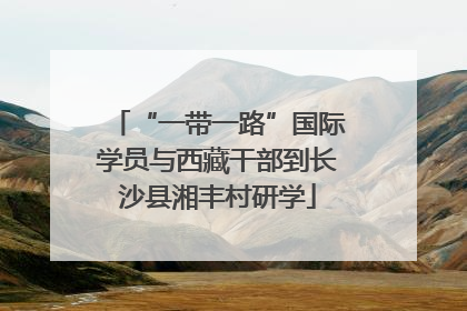 “一带一路”国际学员与西藏干部到长沙县湘丰村研学