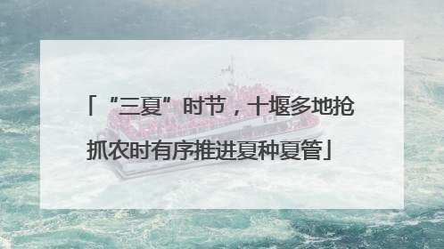 “三夏”时节，十堰多地抢抓农时有序推进夏种夏管