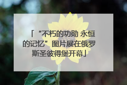 “不朽的功勋 永恒的记忆”图片展在俄罗斯圣彼得堡开幕