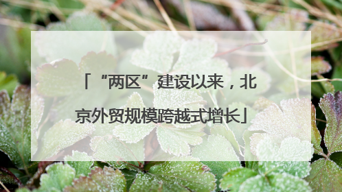 “两区”建设以来，北京外贸规模跨越式增长