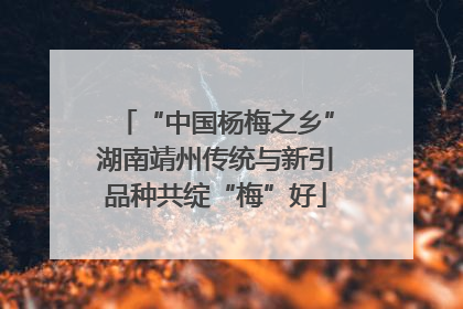 “中国杨梅之乡”湖南靖州传统与新引品种共绽“梅”好