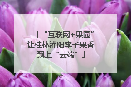 “互联网+果园”让桂林灌阳李子果香飘上“云端”