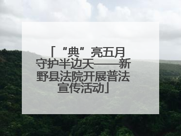 “典”亮五月 守护半边天——新野县法院开展普法宣传活动