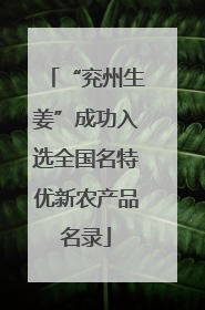 “兖州生姜”成功入选全国名特优新农产品名录