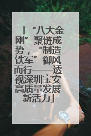 “八大金刚”聚链成势，“制造铁军”御风而行——透视深圳宝安高质量发展新活力
