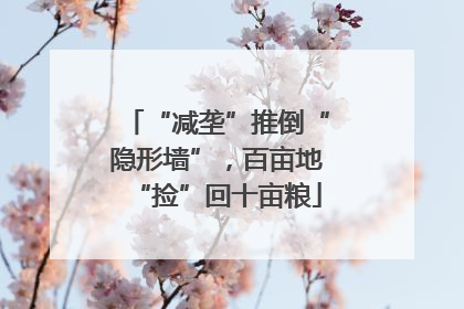 “减垄”推倒“隐形墙”，百亩地“捡”回十亩粮