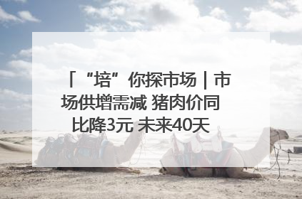 “培”你探市场｜市场供增需减 猪肉价同比降3元 未来40天便宜猪肉敞开吃