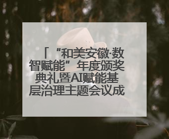 “和美安徽·数智赋能”年度颁奖典礼暨AI赋能基层治理主题会议成功举办