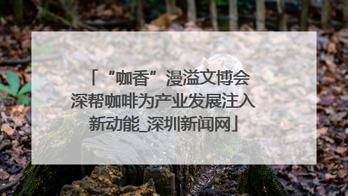 “咖香”漫溢文博会 深帮咖啡为产业发展注入新动能_深圳新闻网