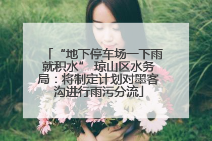 “地下停车场一下雨就积水” 琼山区水务局：将制定计划对墨客沟进行雨污分流