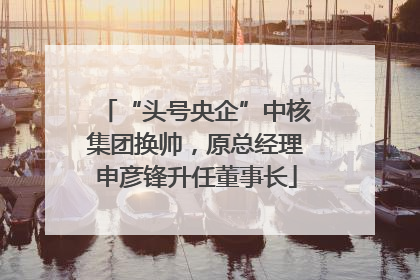 “头号央企”中核集团换帅，原总经理申彦锋升任董事长
