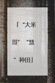 “大米哥”“慧”种田