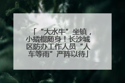 “大水牛”坐镇，小撬棍随身！长沙城区防办工作人员“人车等雨”严阵以待