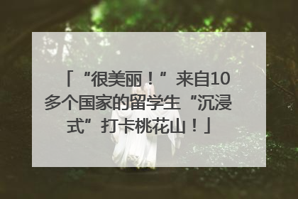 “很美丽！”来自10多个国家的留学生“沉浸式”打卡桃花山！