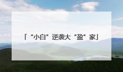 “小白”逆袭大“盈”家