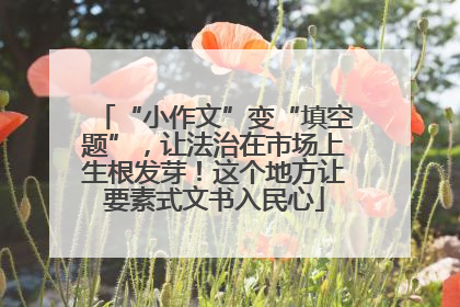 “小作文”变“填空题”，让法治在市场上生根发芽！这个地方让要素式文书入民心