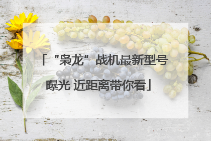 “枭龙”战机最新型号曝光 近距离带你看