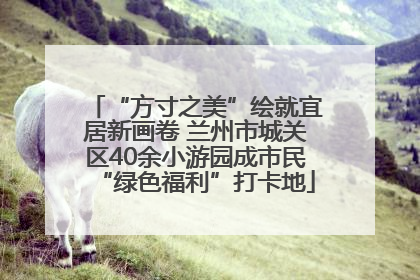 “方寸之美”绘就宜居新画卷 兰州市城关区40余小游园成市民“绿色福利”打卡地