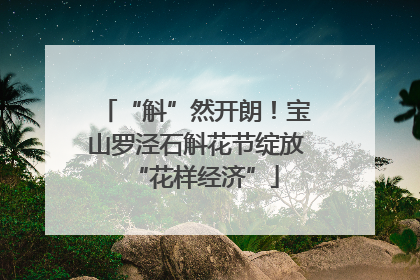 “斛”然开朗！宝山罗泾石斛花节绽放“花样经济”