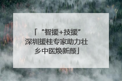 “智援+技援” 深圳援桂专家助力壮乡中医焕新颜