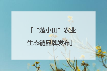 “楚小田”农业生态链品牌发布