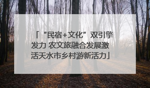 “民宿+文化”双引擎发力 农文旅融合发展激活天水市乡村游新活力