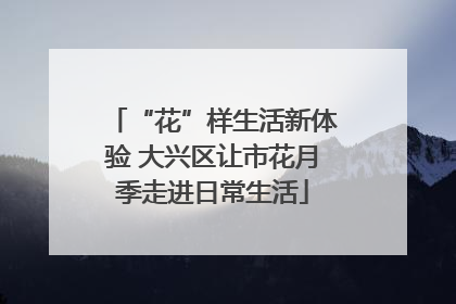 “花”样生活新体验 大兴区让市花月季走进日常生活