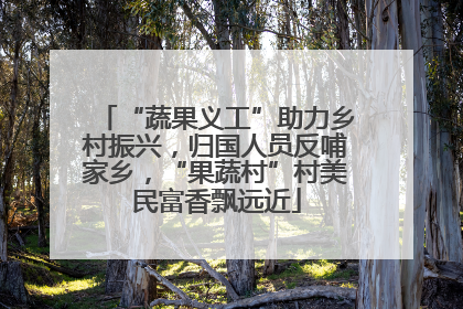 “蔬果义工”助力乡村振兴，归国人员反哺家乡，“果蔬村”村美民富香飘远近