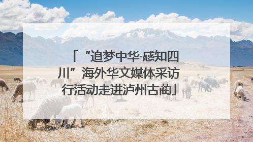 “追梦中华·感知四川”海外华文媒体采访行活动走进泸州古蔺