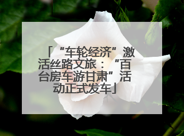 “车轮经济”激活丝路文旅：“百台房车游甘肃”活动正式发车