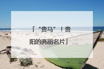 “贵马”！贵阳的亮丽名片