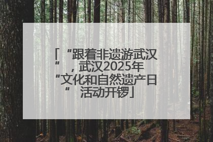 “跟着非遗游武汉”，武汉2025年“文化和自然遗产日” 活动开锣