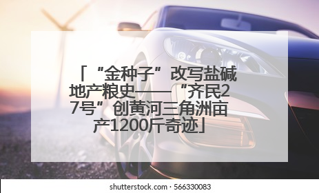 “金种子”改写盐碱地产粮史——“齐民27号”创黄河三角洲亩产1200斤奇迹