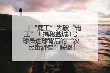“鹿王”先破“霸王”！揭秘盐城3号球员进球背后的“农民街游侠”联盟