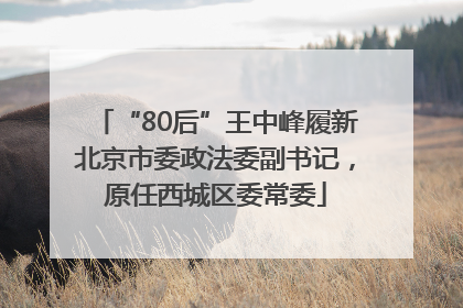 “80后”王中峰履新北京市委政法委副书记，原任西城区委常委